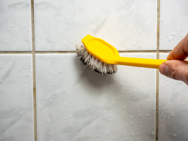 Mold Testing and Removal in Lamar, SC