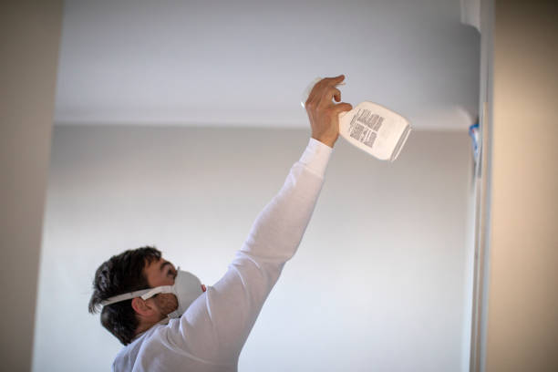 Best Professional Mold Removal  in Lamar, SC